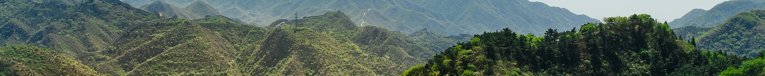 植生綠化